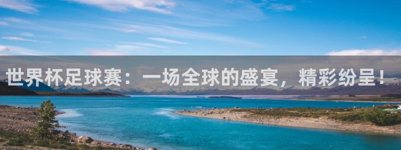 预选赛世界杯：世界杯足球赛：一场全球的盛宴，精彩纷呈！