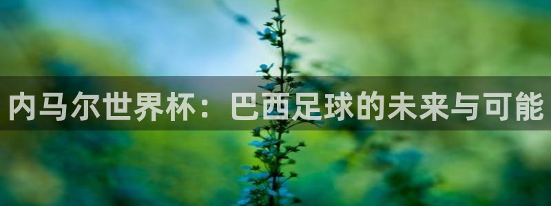 联赛杯直播：内马尔世界杯：巴西足球的未来与可能