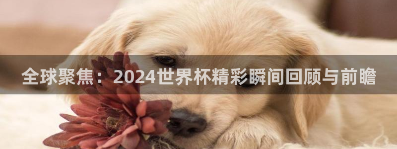 2026世界杯赛程表完整版:全球聚焦:2024世界杯精彩瞬间回顾与前瞻