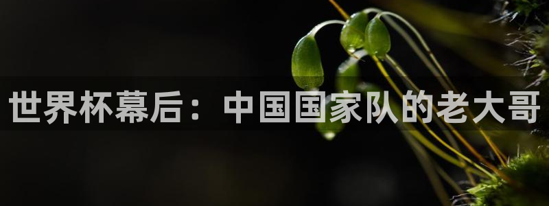 2026年世界杯:世界杯幕后:中国国家队的老大哥