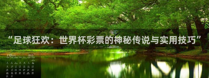 2026世界杯预选赛:“足球狂欢:世界杯彩票的神秘传说与实用技巧”