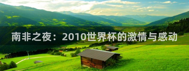 世界杯48支球队赛制：南非之夜：2010世界杯的激情与感动