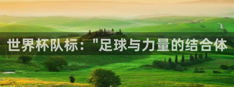 世预赛赛程表：世界杯队标：\
