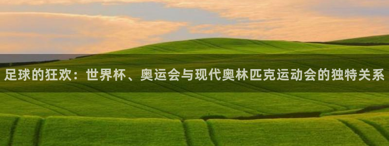 世界杯亚洲区预选赛赛程:足球的狂欢:世界杯、奥运会与现代奥林匹克运动会的独特关系