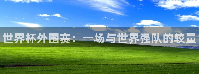 世界杯预选赛2026：世界杯外围赛：一场与世界强队的较量
