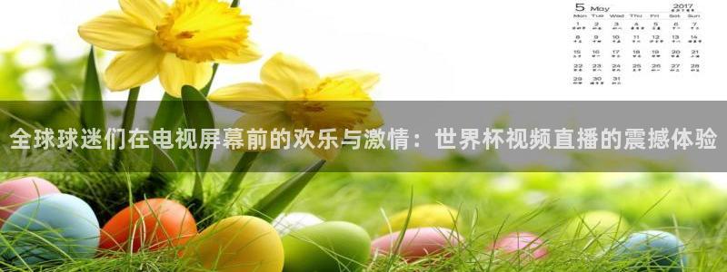 世界杯对阵图2026：全球球迷们在电视屏幕前的欢乐与激情：世界杯视频直播的震撼体验