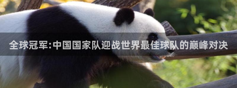 2026世界杯赛程时间表最新：全球冠军:中国国家队迎战世界最佳球队的巅峰对决
