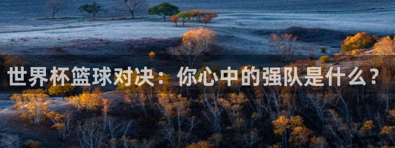 世界杯预选赛赛程：世界杯篮球对决：你心中的强队是什么？