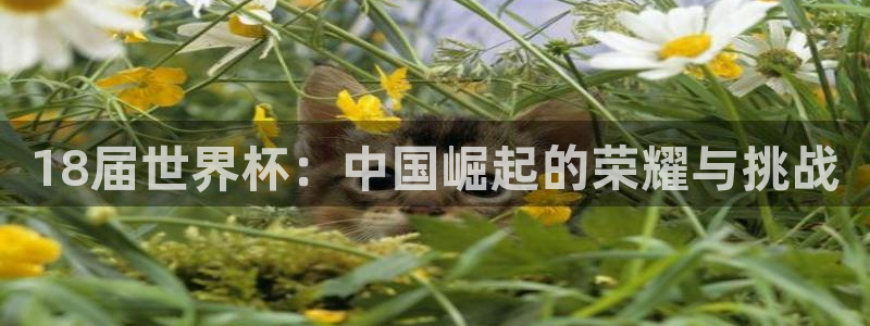 2026年世界杯直播平台：18届世界杯：中国崛起的荣耀与挑战