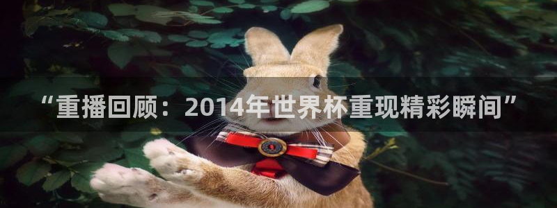 世界杯赛程表2026：“重播回顾：2014年世界杯重现精彩瞬间”