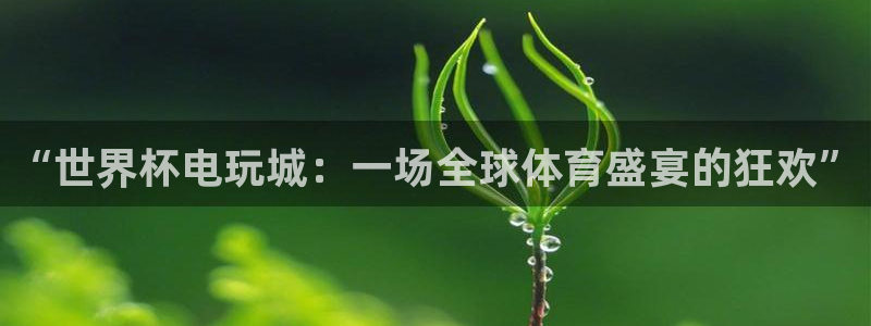 足球世预赛：“世界杯电玩城：一场全球体育盛宴的狂欢”