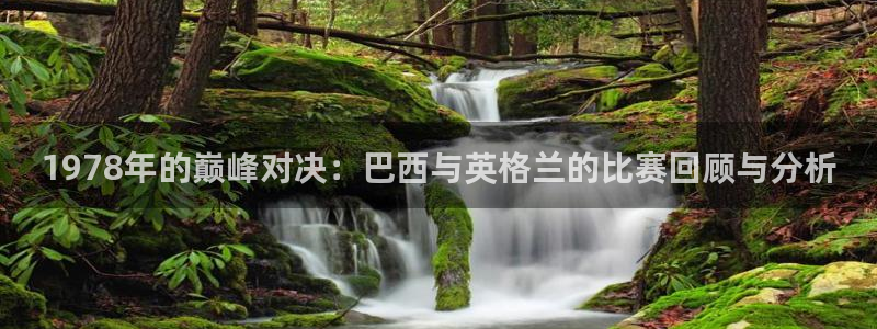 世界杯预选赛欧洲赛区赛程：1978年的巅峰对决：巴西与英格兰的比赛回顾与分析