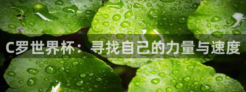 国际足联世界杯：C罗世界杯：寻找自己的力量与速度