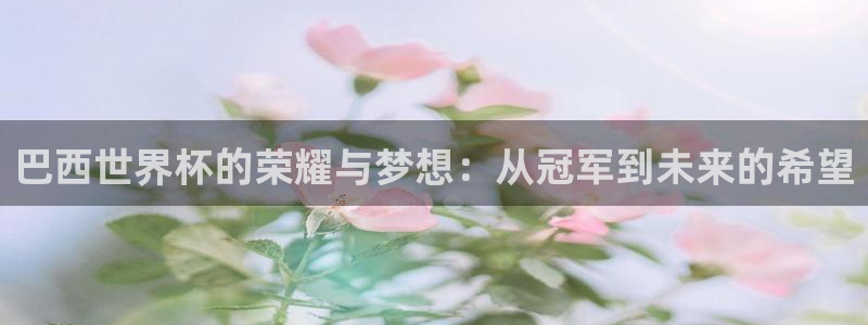 女足世界杯赛程：巴西世界杯的荣耀与梦想：从冠军到未来的希望